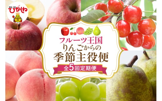 【全5回定期便】2025年りんごからの季節主役便 千笑花夢提供 山形県 東根市 hi082-039