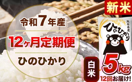 新米 令和7年産【12ヵ月定期便】 白米 ひのひかり 定期便 5kg 5kg×1袋《お申込み翌月から出荷開始》 熊本県産 精米 ひの 米 こめ ヒノヒカリ コメ お米