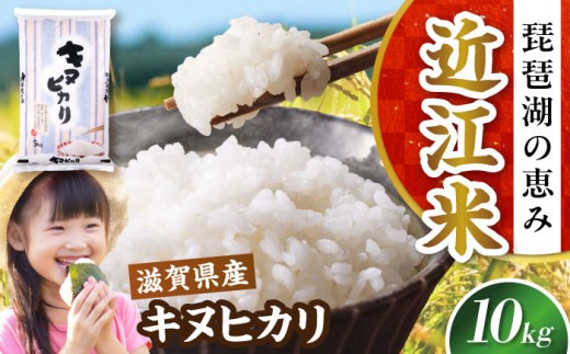 【令和7年産新米】キヌヒカリ 10kg 白米 滋賀県長浜市/株式会社コメック [AQDH004] 米 お米 白米 10kg きぬひかり 滋賀県産 長浜市産 こめ 精米 お米 新米 食品 国産 米ギフト ブランド米 食卓 美味しい 冷めても美味しい 人気 お弁当 和食 琵琶湖の恵み ご飯のお供 夜ごはん 昼ごはん 朝ごはん 上品な 甘み あっさり カレー 丼 丼もの 2234937 - 滋賀県長浜市