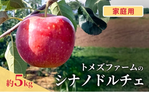 シナノドルチェ（家庭用） 約5kg（15～20玉入り）トメズファーム　りんご　長野　信州　小諸　果物　フルーツ [№5915-1660]
