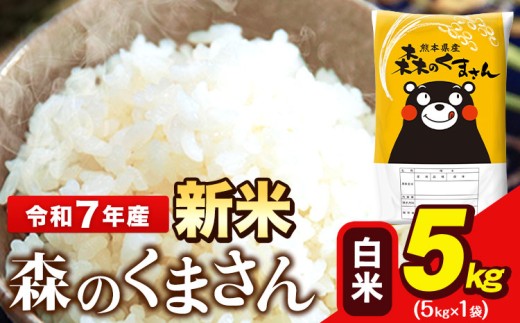 【親】　新米 令和7年産 森のくまさん 5kg × 1袋  白米 熊本県産 単一原料米 森くま《9月下旬-11月上旬頃出荷》送料無料