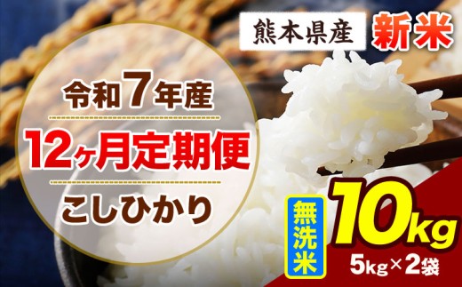 【12ヶ月定期便】令和7年産 定期便 こしひかり 10kg 新米 無洗米 阿蘇 うぶやま 米 定期便 熊本県産 ふるさと納税 精米 ひの 米 こめ ふるさとのうぜい コシヒカリ コメ お米 おこめ《申込み翌月から出荷》