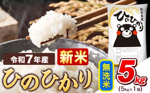 新米 令和7年産  無洗米 ひのひかり 5kg 《9月下旬-11月上旬頃出荷》熊本県産 ふるさと納税 精米 ひの 米 こめ ふるさとのうぜい ヒノヒカリ コメ お米 おこめ