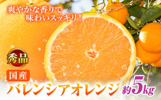 【秀品】※先行予約※希少な国産バレンシアオレンジ 約5kg 株式会社 魚鶴商店《2026年6月下旬頃～7月上旬頃出荷》和歌山県 日高川町 オレンジ 柑橘 フルーツ 果物
