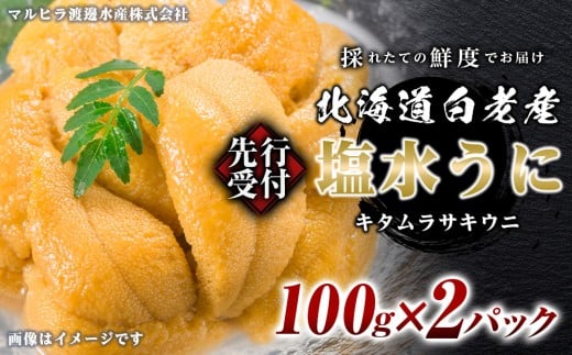 2026年発送 先行受付 ウニ本来の味が楽しめる【白老産】塩水ムラサキウニ 100g×2パック