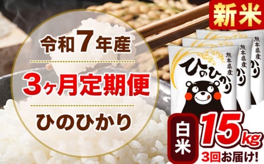 新米 令和7年産 【3ヵ月定期便】 白米 ひのひかり 定期便 15kg 5kg×3袋《お申込み翌月から出荷開始》 熊本県産 精米 ひの 米 こめ ヒノヒカリ コメ お米 