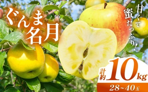 【先行予約】信州産 塩尻エールりんご！果汁たっぷり ぐんま名月 約10kg（28～40玉）【10月中旬頃～発送予定】| 果物 くだもの フルーツ 林檎 りんご リンゴ ぐんま名月 果実 アップル 長野県 塩尻市