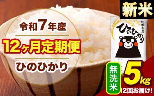 新米 令和7年産 【12ヶ月定期便】  無洗米 米 ひのひかり 5kg《お申し込み月の翌月から出荷開始》熊本県 大津町 国産 熊本県産 無洗米 送料無料 ヒノヒカリ こめ お米