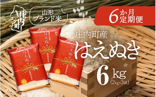 ＜11月中旬発送＞庄内米6か月定期便！はえぬき 6kg（入金期限：2025.10.25）