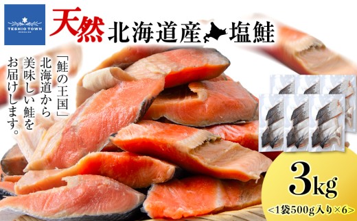 北海道産 塩サケ切り身 3kg しゃけ サケ 海鮮 魚 切り身 2261573 - 北海道天塩町
