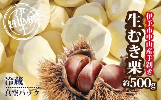 栗 むき栗 約500g 旧中山町産  数量限定 生栗 濃厚な甘み ホクホク 焼き栗 栗ごはん 伊予市 愛媛県 | B468