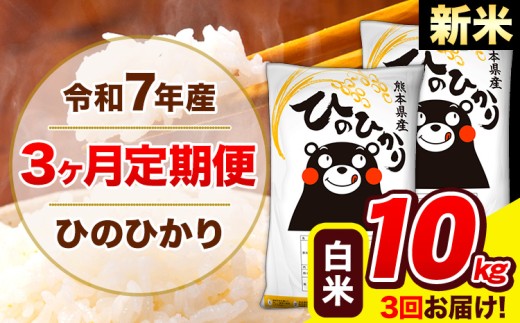 新米 令和7年産 ひのひかり 【3ヶ月定期便】 白米  10kg (5kg×2袋) 計3回お届け 《お申し込み月の翌月から出荷開始》 熊本県産 白米 精米 ひの 米 こめ お米 熊本県 長洲町