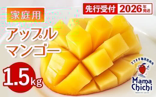 【先行受付】【2026年発送】ママチチマンゴーファームの家庭用アップルマンゴー約1.5kg - 先行予約 沖縄県産 産地直送 南国フルーツ 旬の味覚 季節の果物 ご自宅用 沖縄マンゴー 沖縄県 八重瀬町