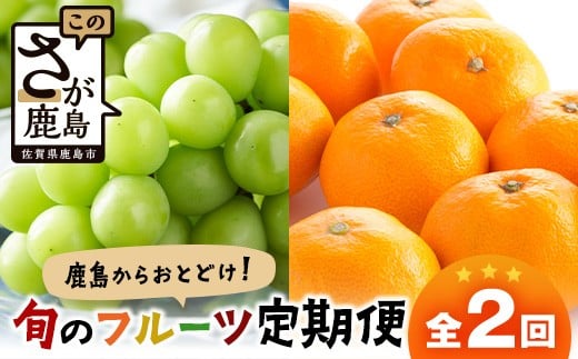 【定期便 2回】鹿島からお届けフルーツ定期便 シャインマスカット2kg・佐賀美人(みかん)5kg｜ ふるさと納税 フルーツ 果物 定期便 定期 佐賀美人 シャインマスカット くだもの バラエティ セット 佐賀県 鹿島市 送料無料 人気　D-272