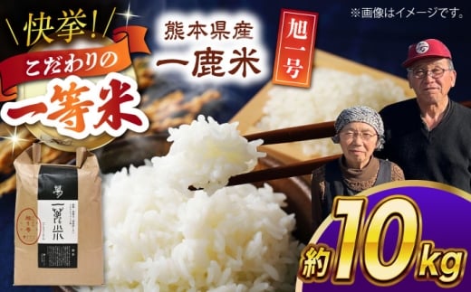 [先行予約] [天日塩を使用]一鹿米 旭一号 米 白米 10kg[株式会社 夢アグリ] 