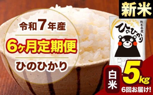 新米 令和7年産 【6ヶ月定期便】 白米 米 ひのひかり 5kg《お申し込み月の翌月から出荷開始》熊本県 大津町 国産 熊本県産 白米 送料無料 ヒノヒカリ こめ お米