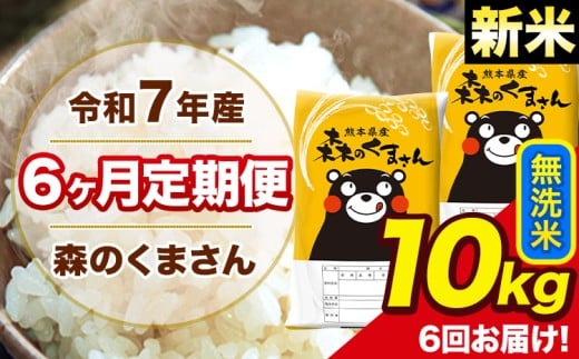 新米 令和7年産 森のくまさん 無洗米 10kg 5kg×2袋 計6回お届け 《お申し込み月の翌月から出荷開始》 お米 こめ 熊本県産 ご飯 備蓄
