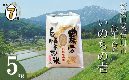 【2025年10月中旬発送】令和7年産新米予約 新潟県能生谷産『いのちの壱』5kg（白米）棚田米 農家直送 2025年産 JATs有限会社【新潟県 糸魚川市 米 お米 こめ コメ ご飯 ライス ふるさと納税米 ブランド米 おすすめ ギフト 5キロ 精米 白米 人気 食品 選べる配送月 先行予約】 2260573 - 新潟県糸魚川市