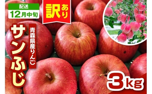【2025年12月中旬発送】りんご　青森 サンふじ 3kg 程度 《 訳あり 》 農家直送 サンフジ 青森県五所川原市 傷 キズ ワケアリ 林檎 リンゴ apple