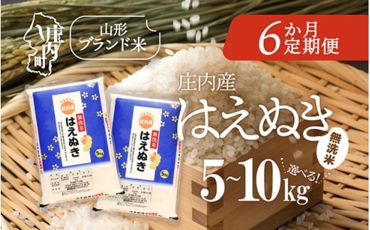 [毎月中旬発送]庄内米6か月定期便!はえぬき無洗米 選べる配送開始月 内容量 5kg / 6kg / 10kg ブランド米 2025年産