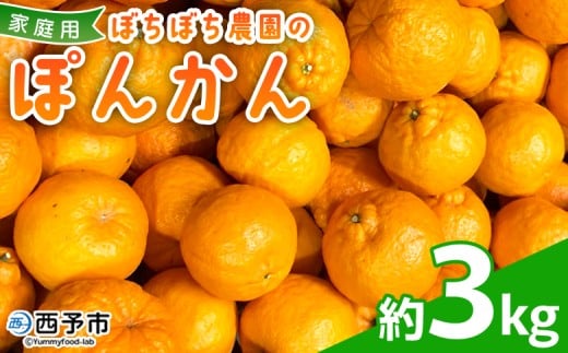 ＜ぼちぼち農園のぽんかん 家庭用 約3kg＞ 3キロ ぽんかん ポンカン 訳あり わけあり ワケアリ 果物 みかん ミカン 柑橘 フルーツ 生産量日本一 国産 特産品 ぼちぼち農園 愛媛県 西予市【常温】『2026年1月～2月迄に順次出荷予定』
