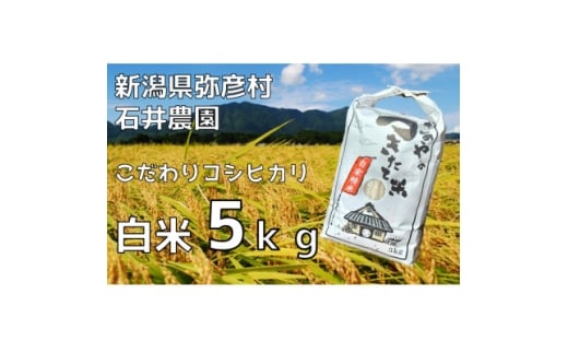 新潟県弥彦村石井農園　令和7年産コシヒカリ＜白米 5kg＞【1508845】 1378746 - 新潟県弥彦村