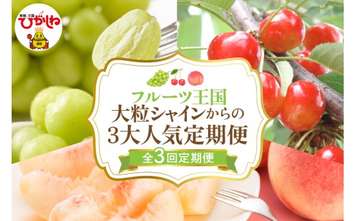 【全3回定期便】2025年大粒シャインからの３大人気定期便 千笑花夢提供 山形県 東根市 hi082-031
