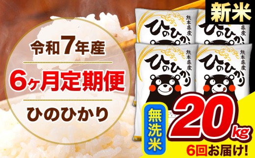 新米 令和7年産 ひのひかり 【6ヶ月定期便】 無洗米  20kg (5kg×4袋) 計3回お届け 《お申し込み月の翌月から出荷開始》 熊本県産 白米 精米 ひの 米 こめ お米 熊本県 長洲町