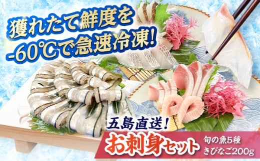 超速冷凍鮮魚5種ときびなごセット 五島市/金沢鮮魚 魚 キビナゴ 鮮魚 鮮魚ボックス [PEP064]