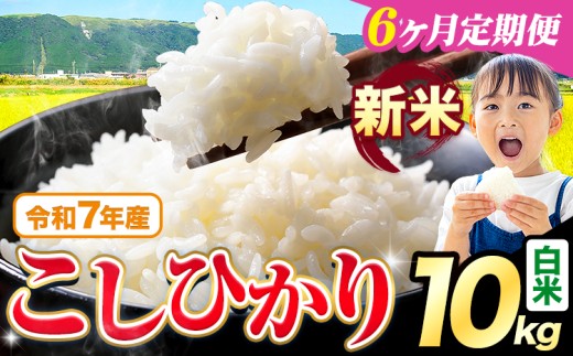 【6ヶ月定期便】令和7年産 新米 白米 こしひかり 10kg《お申込みの翌月出荷》熊本県産 ふるさと納税 白米 精米 ひの 米 こめ ふるさとのうぜい コシヒカリ コメ お米 おこめ