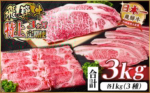 レビューキャンペーン実施中!＜毎月定期便＞飛騨牛 特上定期便 計3kg全3回　小分け【4057132】