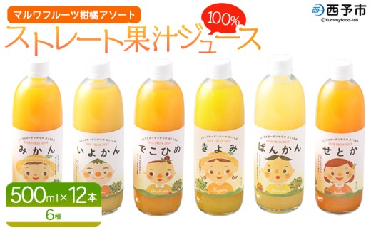 ＜マルワフルーツ柑橘アソート 100％ストレート果汁ジュース 500ml×12本＞ 詰め合わせ セット スイーツ 果物 フルーツ みかん オレンジ 柑橘 清見 でこひめ 河内晩柑 伊予柑 せとか 特産品 愛媛県 西予市【常温】『1か月以内に順次出荷予定』 2260561 - 愛媛県西予市