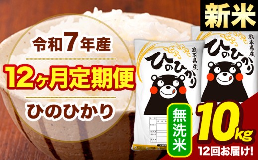 新米 令和7年産 【12ヶ月定期便】  無洗米 米 ひのひかり 10kg《お申し込み月の翌月から出荷開始》熊本県 大津町 国産 熊本県産 無洗米 送料無料 ヒノヒカリ こめ お米 