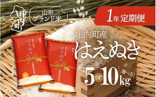 [11月中旬開始]庄内米1年定期便!はえぬき 選べる内容量 5kg or 10kg(入金期限:2025.10.25) ブランド米 2025年産