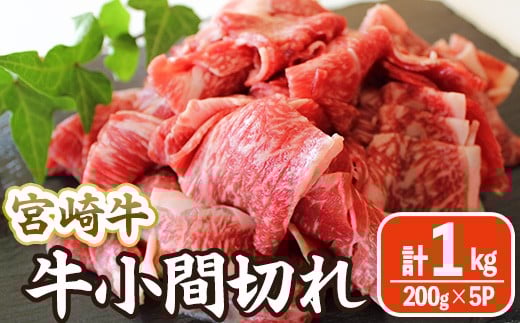 宮崎牛 小間切れ (計1kg・200g×5) 牛肉 精肉 お肉 黒毛和牛 ブランド和牛 切り落とし こま肉お取り寄せ 冷凍 国産 宮崎県 【MA-11】【株式会社マルミヤストア】