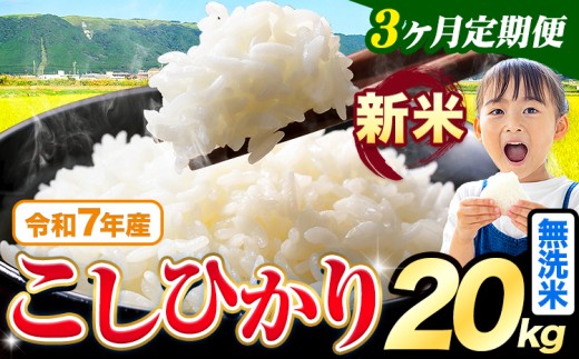 【3ヶ月定期便】令和7年産 新米 無洗米 こしひかり 20kg《お申込み翌月出荷》熊本県産 ふるさと納税 無洗米 精米 ひの 米 こめ ふるさとのうぜい コシヒカリ コメ お米 おこめ
