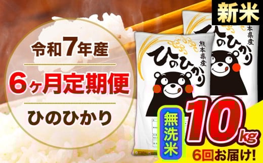 新米 令和7年産 ひのひかり 【6ヶ月定期便】 無洗米  10kg (5kg×2袋) 計6回お届け 《お申し込み月の翌月から出荷開始》 熊本県産 無洗米 精米 ひの 米 こめ お米 熊本県 長洲町
