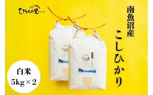 【令和7年産新米予約】最高金賞 南魚沼産コシヒカリ 白米5kg×2 もっちり甘い！ ひらくの里ファーム【2025年11月上旬より順次発送予定】