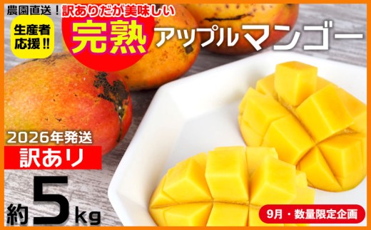 【9月・数量限定企画】【2026年発送】生産者応援！！訳ありだが美味しい完熟アップルマンゴー約5kg　農園直送！ 訳アリ 先行予約 沖縄 甘味 糖度 濃厚 美味しい お取り寄せ おいしい ふるさと納税 とろける甘さ 香り アーウィン 果汁 送料無料 箱入り トロピカル フードロス わけあり ５キロ 2260895 - 沖縄県大宜味村
