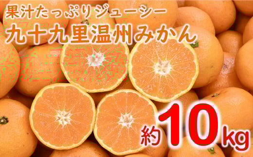 【先行予約】【11月から発送】【訳あり】九十九里温州みかん　約10kg SMBZ001 1462991 - 千葉県山武市