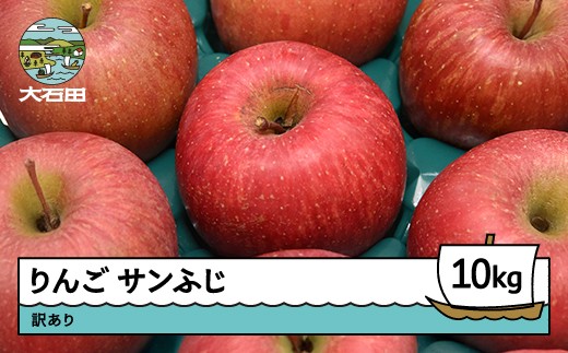 りんご サンふじ 訳あり 約10kg 2025年産 令和7年産 果物 フルーツ 山形県 ry-risfw10000 2202227 - 山形県大石田町
