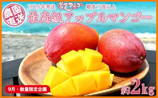 【9月・数量限定企画】【2026年発送】最高級　常夏アップルマンゴー！糖度17度以上　約2kg農園から直送 最高級 先行予約 沖縄 甘味 糖度 濃厚 美味しい お土産 おいしい ギフト とろける甘さ 香り アーウィン 果汁 プレミアム 箱入り 化粧箱入り 見た目 きれい 綺麗 2260474 - 沖縄県大宜味村