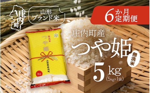 ＜1月下旬発送＞庄内米6か月定期便！つや姫無洗米 5kg（入金期限：2025.12.25）