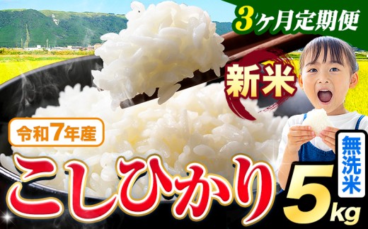 [3ヶ月定期便]令和7年産 新米 無洗米 こしひかり 5kg[お申込みの翌月出荷]熊本県産 ふるさと納税 無洗米 精米 ひの 米 こめ ふるさとのうぜい コシヒカリ コメ お米 おこめ