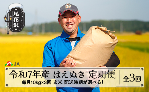 新米 米 毎月定期便 10kg×3回  はえぬき 玄米 令和7年産 2025年産 山形県尾花沢市産 送料無料 1月上旬発送開始 ja-hagxa10_tm-1f 2259185 - 山形県尾花沢市