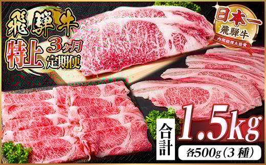 レビューキャンペーン実施中!＜毎月定期便＞飛騨牛 特上定期便 計1.5kg全3回　小分け【4057130】
