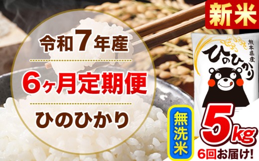新米 令和7年産 【6ヵ月定期便】 無洗米 ひのひかり 定期便 5kg 5kg×1袋《お申込み翌月から出荷開始》 熊本県産 精米 ひの 米 こめ ヒノヒカリ コメ お米 