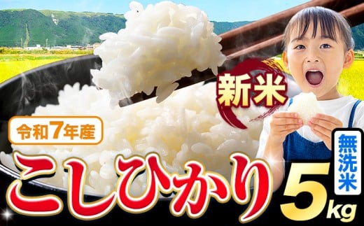 令和7年産 新米 無洗米 こしひかり 5kg《9月下旬-11月上旬頃出荷》熊本県産 ふるさと納税 無洗米 無洗米 精米 ひの 米 こめ ふるさとのうぜい コシヒカリ コメ お米 おこめ