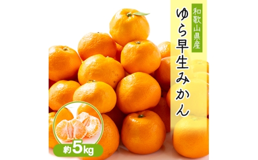 和歌山の早生みかん　ゆら早生(大きさ不揃い)　約5kg【1582070】