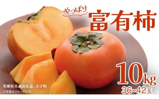 富有柿 約10kg (36～42玉)【2025年11月上旬発送開始】(茨城県共通返礼品：大子町) 柿 かき フルーツ 果物 秋の味覚 旬